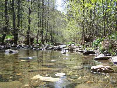 Edremit Turizm Danışma